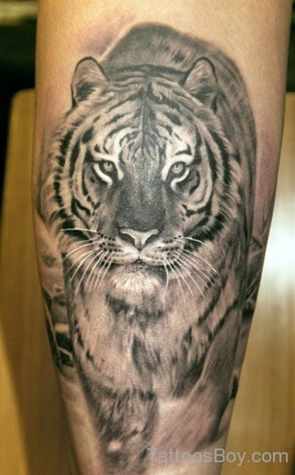 Tiger Tattoo 6-Tb127