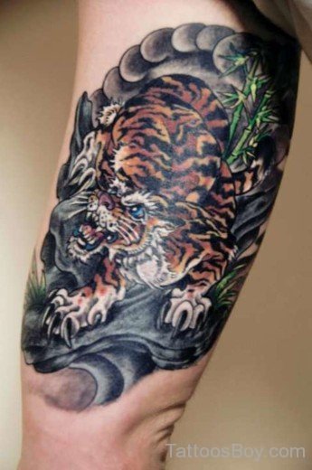 Tiger Tattoo 