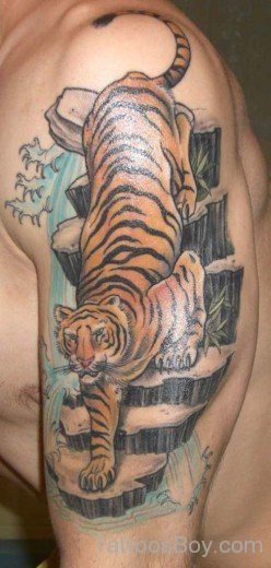 Nice Tiger Tattoo