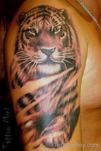 Tiger Tattoo On Half Sleeve 2-Tb142