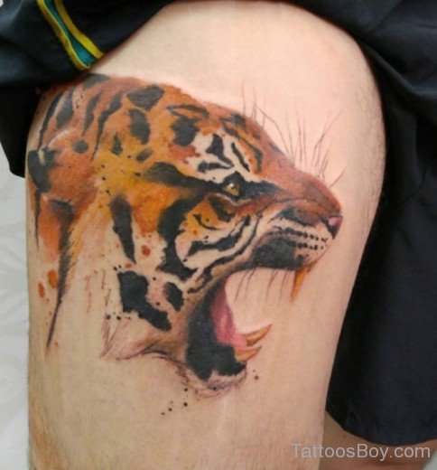 Tiger Tattoo 