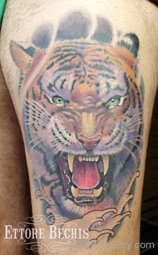 Angry Tiger Tattoo 