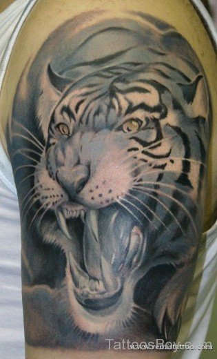 Tiger Tattoo on Shoulder