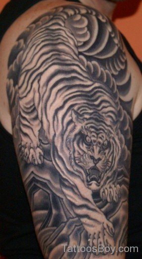 White Tiger Tattoo Design On Shoulde