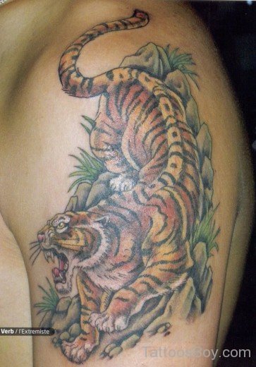 Wild Tiger Tattoo-TB1099