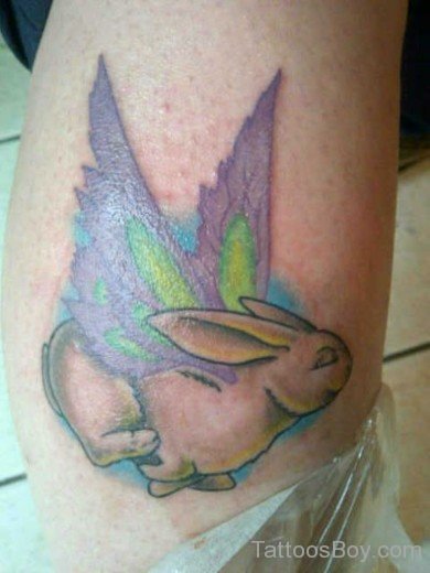 Winged Rabbit Tattoo-TB194