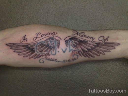 Wings Tattoo On Arm-TB1098
