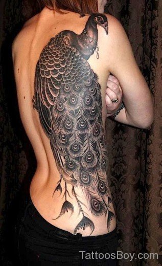 Wonderful Peacock Tattoo-TB148