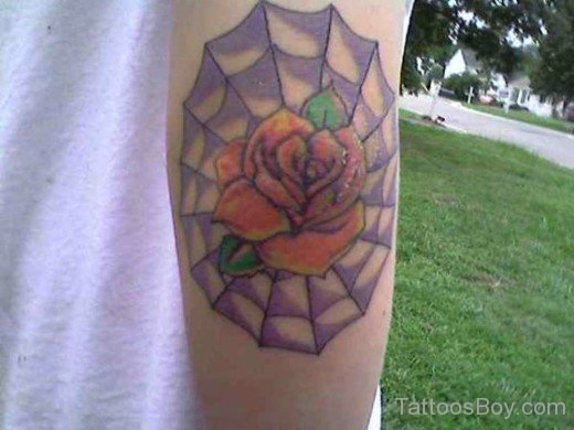 Wonderful Rose And Spider Web Tattoo-TB170