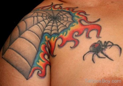 Wonderful  Spiderweb Tattoo-TB169