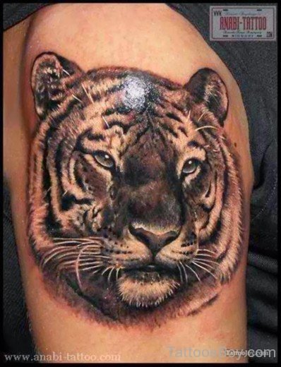 Wonderful Tiger Tattoo Design-TB1100