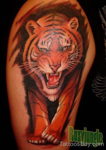 Wonderful Tiger Tattoo-TB1101