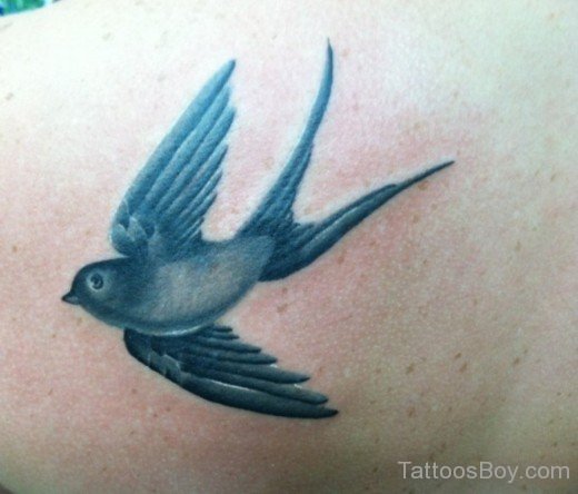 Flying Blue Sparrow Tattoo-Tb1056