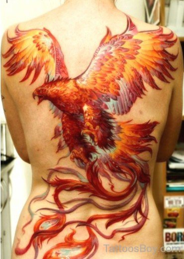 Attractive Phoenix Tattoo On Back-TB14005