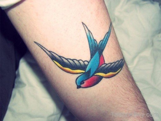 Attractive Swallow Tattoo-TB1405