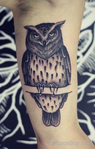Awesome Owl Tattoo Design On Bicep