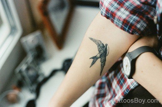 Bird Tattoo On Elbow