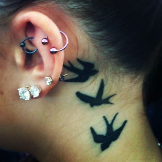 Black Bird Tattoo On Behind Ear-TB14042