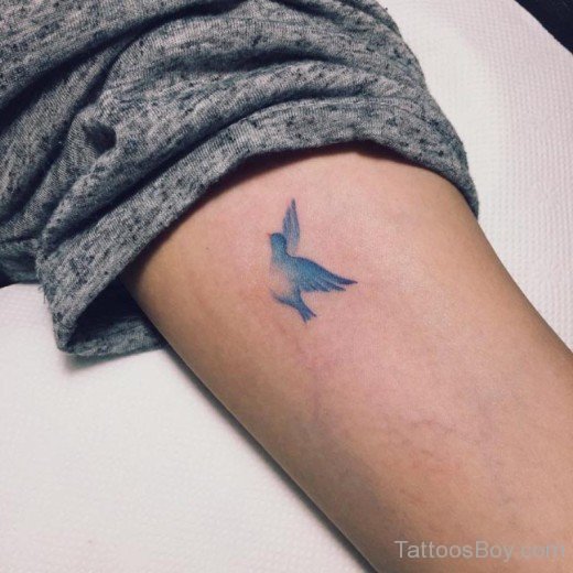 Blue Bird Tattoo