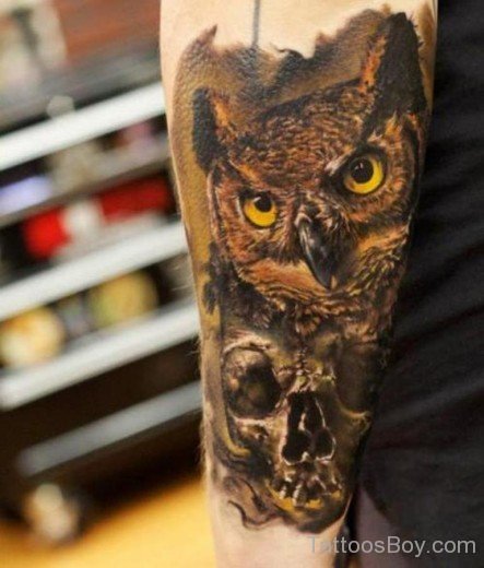 Brown Skull And Owl Tattoo-TB1026