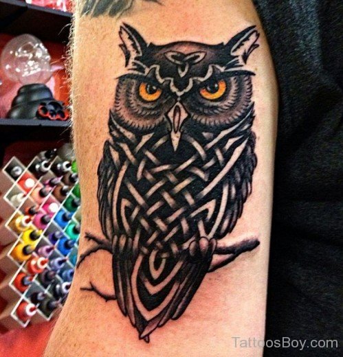 Celtic Owl Tattoo