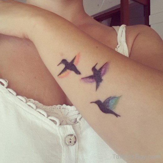 Colored Bird Tattoo On Arm-TB14052