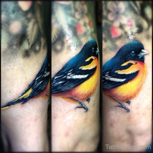 Colored Bird Tattoo