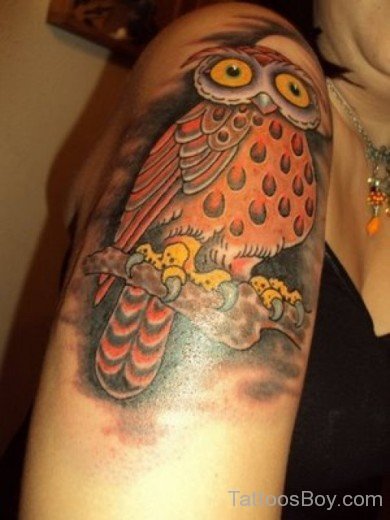 Colored Owl Tattoo On Shoulder 01-TB1046