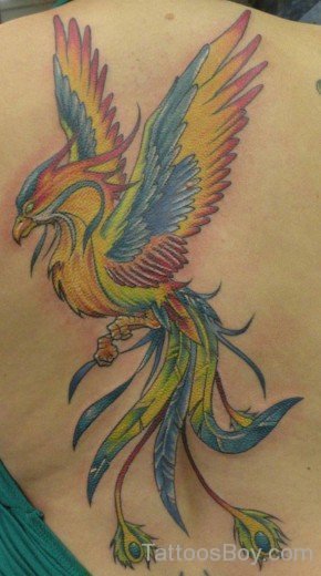 Phoenix Tattoo On Back