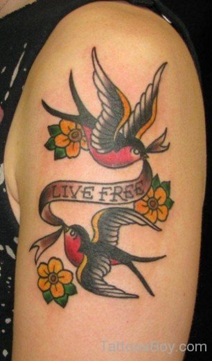 Colored Swallow Tattoo On Hosulder-TB1418