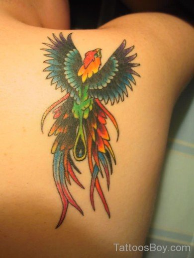 Colorful Phoenix Tattoo On Back-TB14020