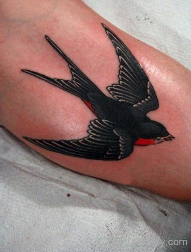 Dark Black Swallow Tattoo-TB1420
