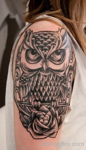 Grey Owl Tattoo On Shoulder