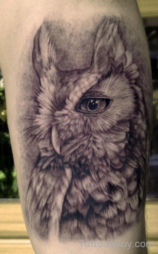 Owl Tattoo 