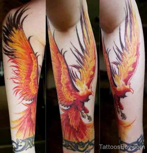 Nice Phoenix Tattoo Design-TB1058