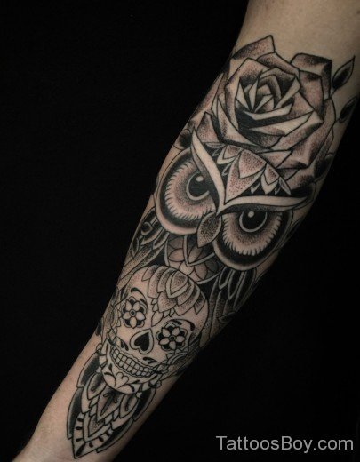 Owl And Skull Tattoo On Arm-TB14043