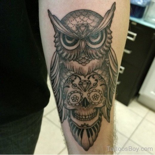 Owl Bird And Skull Tattoo