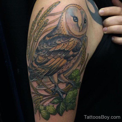 Owl Bird Tattoo On Bicep