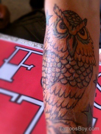 Owl Bird Tattoo Design On Arm-TB1110