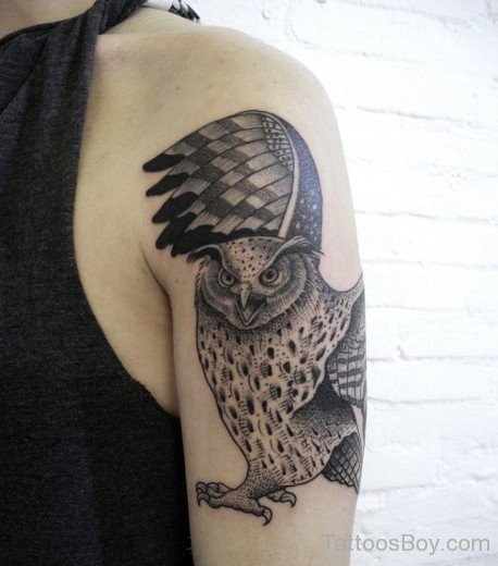Owl Bird Tattoo  On Bicep