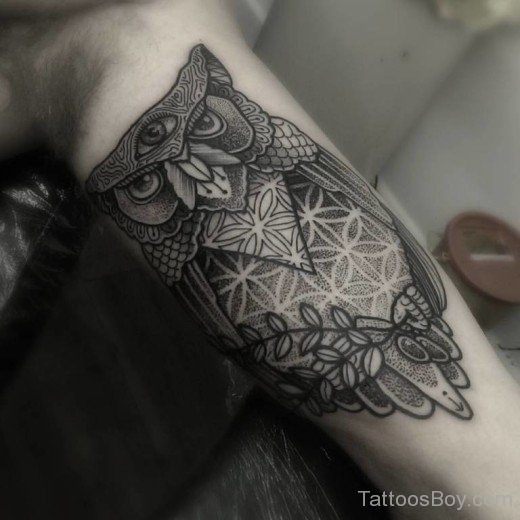 Owl Bird Tattoo On Bicep