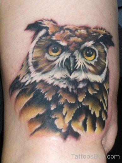 Owl Bird Tattoo On Bicep