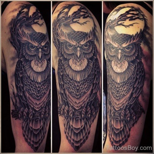 Owl Bird Tattoo On Half Sleeve-TB1114