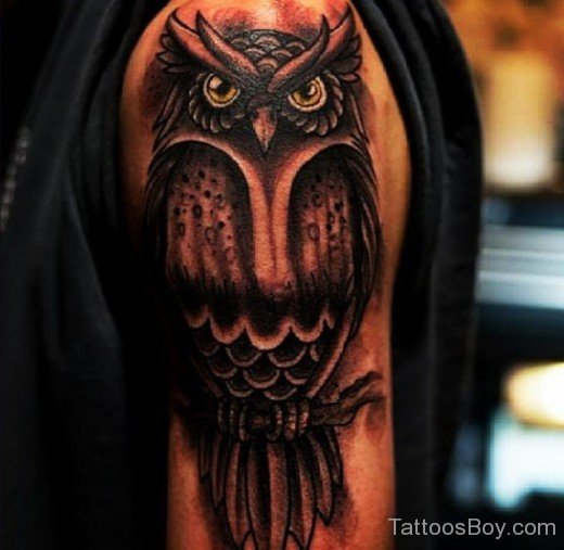 Owl Bird Tattoo On Shoulder