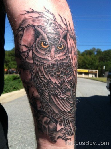 Owl Bird Tattoo