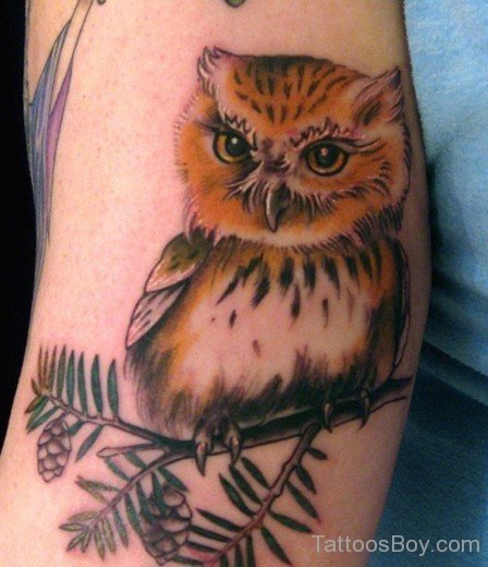 Owl Tattoo