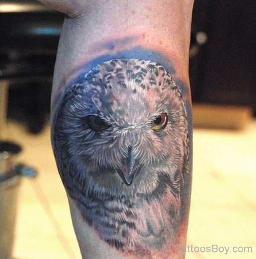 Owl Tattoo Design 