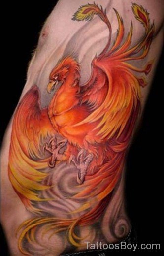 Phoenix Tattoo Design On Rib-TB14069