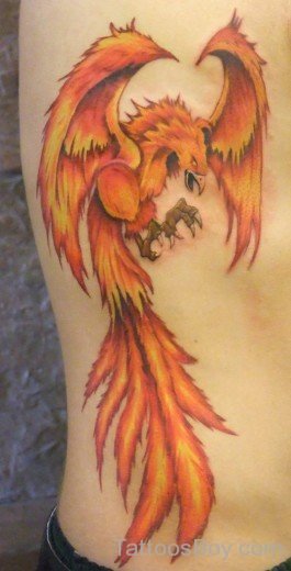 Phoenix Tattoo On Rib