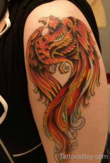 Phoenix Tattoo Design On Bicep-TB1074